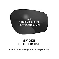 Очки Mechanix Tactical Type-X Smoke Lens