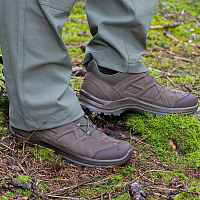 Ботинки Haix Black Eagle Nature GTX Low