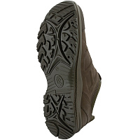 Ботинки Haix Black Eagle Nature GTX Low